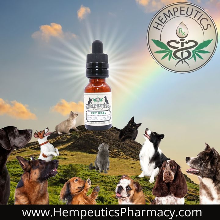 Image showing why you should try CBD oil for Pet Health.