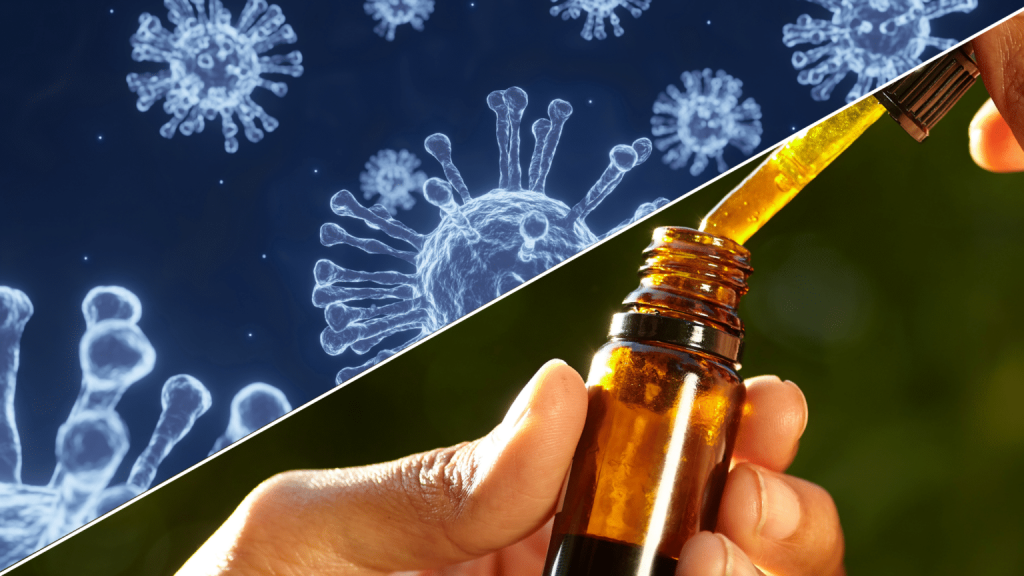 Image showing uses of CBD for viral infections.