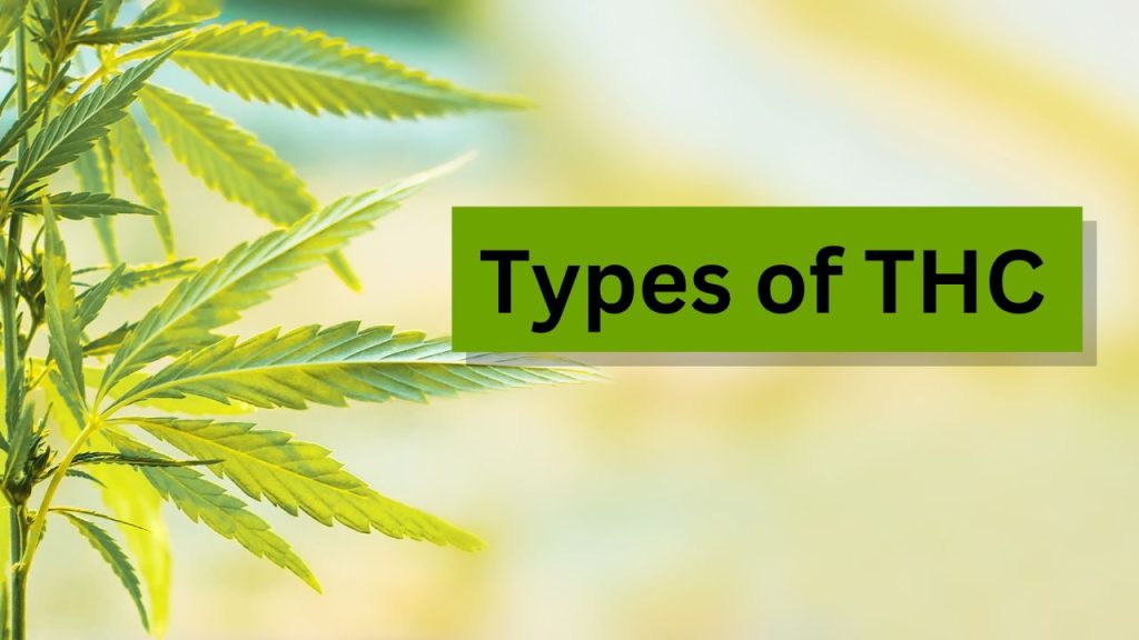 Image depicting types of THC.