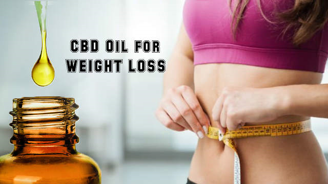 Image showing how CBD oil works for weight loss.