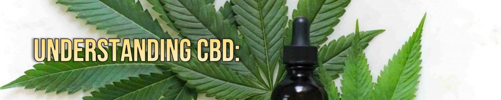 Image showing how understanding CBD can work for weight loss.