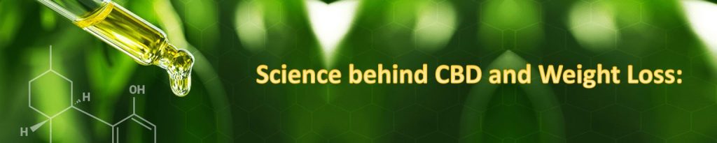 Science behind CBD and weight loss