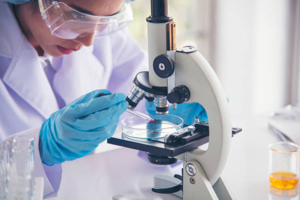 Image showing doctor looking at blood specimen under microscope.