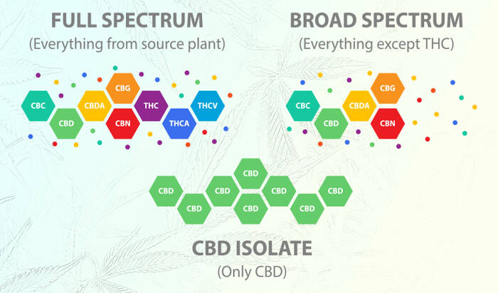 Picture illustrating differences between cbd distillate (full and broad spectrum) vs cbd isolate